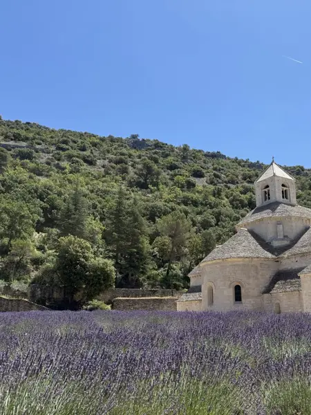 Sénanque Abbey behind a field of lavender in Provence